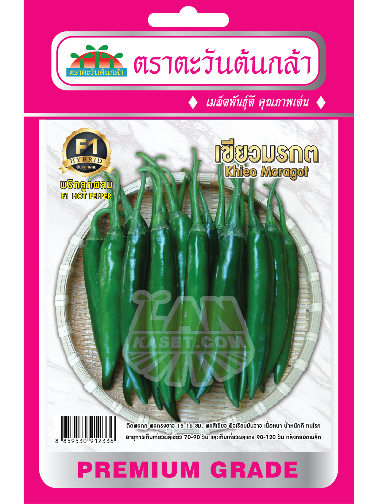 H44 เมล็ดพันธุ์พริกลูกผสม เขียวมรกต
