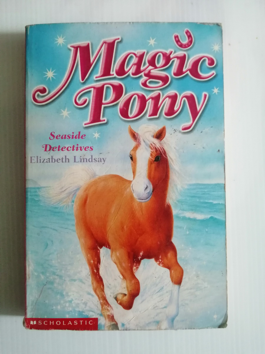 Magic Pony Seaside Detectives by Elizabeth Lindsay