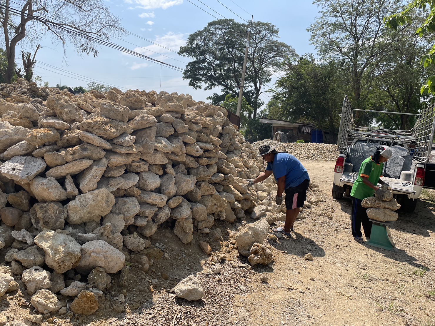 หินฟองน้ำ