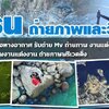 รับบินโดรน ช่างภาพวีดีโอ โทร 061-5488194 รับบินโดรน ถ่ายภาพและวิดีโอมุมสูงโดยช่างภาพมืออาชีพ
