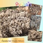 หินฟันม้า