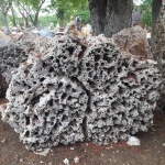 หินฟันม้า