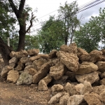 หินฟองน้ำ