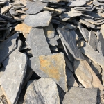 หินกาบป่าสีเทาดำ(เล็ก)