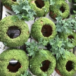 กระถางหินมอส