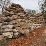 หินฟองน้ำ