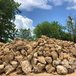 หินฟองน้ำ