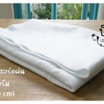 ใยโพลีเอสเตอร์แผ่น รุ่น 250g. (90*150cm)
