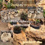 หินฟองน้ำกระถาง