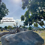 หินโชว์ธรรมชาติ