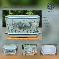 กระถางเซรามิคสี่เหลี่ยมผืนผ้า พร้อมจานรอง OPRAX ลายปลามังกรสี aqua blue