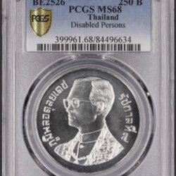 ปีคนพิการสากล