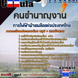 แนวข้อสอบคนชำนาญงาน การไฟฟ้าฝ่ายผลิตแห่งประเทศไทย (กฟผ) 2568