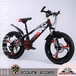 จักรยานภูเขาเด็ก Ecoline รุ่น 819 (วงล้อ 20 นิ้ว , ล้อแม็ค , ชุดเกียร์ 7 Sp , อายุ 7-11 ขวบ)