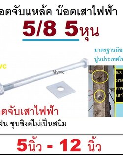 น๊อตจับเสา นีอตจับเสาไฟฟ้า 5นิ้ว - 12นิ้ว 5/8 5หุน น๊อตจับเหล็ค พร้อมแหวนตัวเมีย มาตรฐานการไฟฟ้า น๊อตจับเสา จับแหล้ค