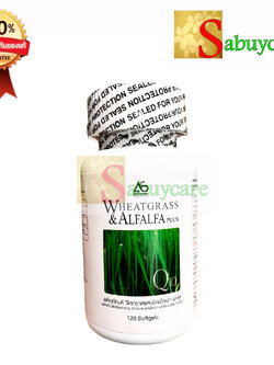 ผักเม็ด อาร์มสตรอง Wheatgrass Alfalfa ArmStrong (1 ขวด 120 แคปซูล)