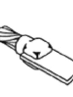 วันไทม์ สาย+บาร์