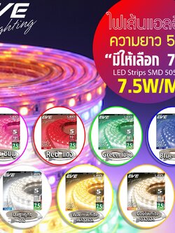 ไฟเส้นหลายสี แบบกันน้ำ LED Strips 5M ไฟเส้นแอลอีดี SMD 5050 5เมตร IP65 แบบกันน้ำ