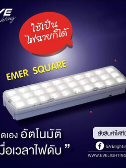 LED wallmount emer square 2w Daylight ไฟฉุกเฉินแอลอีดีขนาด 2 วัตต์