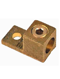 หางปลาทองแดงขันสกรู