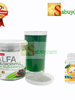 อัลฟ่า คลอโรฟิลล์ " แถมฟรี วิตามินซี 1 ขวด " ALFA Chlorophyll From Alfalfa Extract plus (First Wellness)
