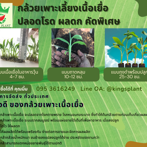 วิดีโอ แนะนำบรรยากาศในแลป