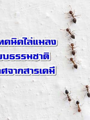 5 เทคนิคไล่แมลงแบบธรรมชาติ ปราศจากสารเคมี