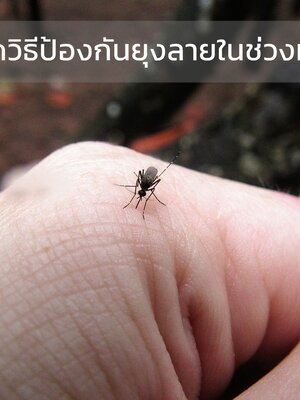 สารพัดวิธีการป้องกันและจัดการยุงลาย