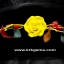 YELLOW ROSE HANDMADE CLAY NECKLACE BRACELET EARRING RING SET