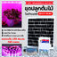 ชุดไฟปลูกต้นไม้โซล่าเซลล์ สำเร็จรูป รุ่น EZY-GL4M พร้อมใช้