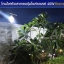 โคมไฟหัวเสาทรงตุ้มโซล่าเซลล์ รุ่น 40W (แสงขาว)