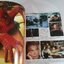 STARPICS SPECIALS EDITION SPIDER-MAN STORYBOARD
