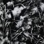 Premium Textile 120x170 cm 204