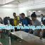 หลักสูตรการปลูกจิตสำนึกด้านความปลอดภัยในการทำงาน 40 ท่าน /รุ่น อบรมด่วน อบรมออนไลน์