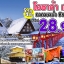 โอซาก้า เกียวโต ทาคายาม่า ชิราคาวาโกะ 5วัน 4คืน