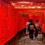 SNOW WALL OSAKA JAPAN ALPS TAKAYAMA 5Day 4Nights เม.ย - มิ.ย.60