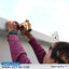 ไฟกิ่งติดผนังโซล่าเซลล์ แบบคู่ รุ่น EZY-WL-012D