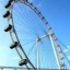 SINGAPORE FORMULA1 GRAND PRIX 16-18 กันยายน 2559