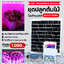 ชุดไฟปลูกต้นไม้โซล่าเซลล์ สำเร็จรูป รุ่น EZY-GL4M พร้อมใช้