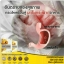 กรีนเคอมิน สารสกัดจากขมิ้นชัน ช่วยบรรเทาอาการกรดไหลย้อน ขนาด 30 เม็ด