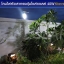 โคมไฟหัวเสาทรงตุ้มโซล่าเซลล์ รุ่น 40W (แสงขาว)