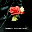 RED ROSE HANDMADE CLAY NECKLACE BRACELET EARRING RING